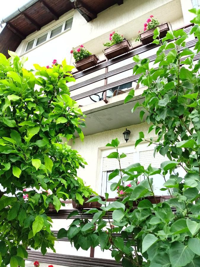 Apartman Kod Dide I Bake Vukovar Zewnętrze zdjęcie
